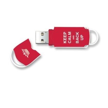 Integral INFD8GBXPRKCBUR 8Go USB 2.0 Rouge lecteur flash