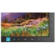 nec-multisync-ea234wmi-23-full-hd-ips-noir-5.jpg