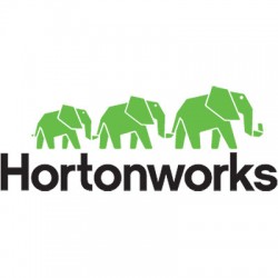 Hewlett Packard Enterprise Hortonworks Data Platform (HDP) P