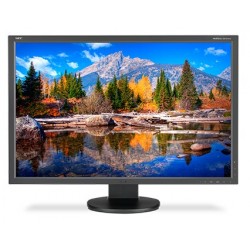 NEC MultiSync EA304WMi 29.8" Black