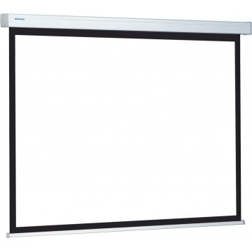 Projecta Proscreen 179 x 280