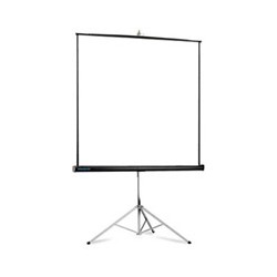 Projecta Picture King 244x244 cm Matte White S 1:1