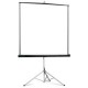 projecta-picture-king-244x244-cm-matte-white-s-1-1-1.jpg