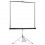 Projecta Picture King 244x244 cm Matte White S 1:1