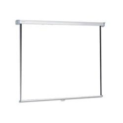 Projecta SlimScreen 125x125 Matte White S