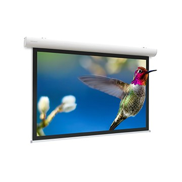 Projecta Elpro Concept 122" 16:9