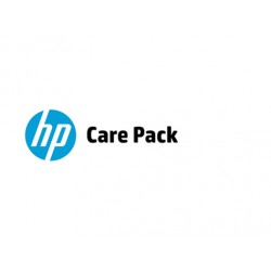 Hewlett Packard Enterprise U3AQ3E Service de support IT