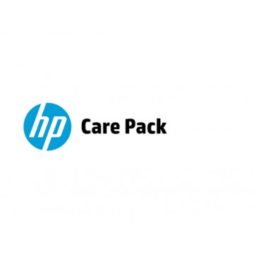 Hewlett Packard Enterprise U3AQ3E Service de support IT