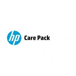 Hewlett Packard Enterprise U3BA9E Service de support IT