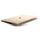 apple-macbook-1-1ghz-m3-6y30-12-2304-x-1440pixels-or-4.jpg