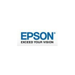 Epson Flasques pour SP x900/x700