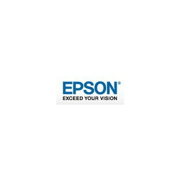 Epson Flasques pour SP x900/x700