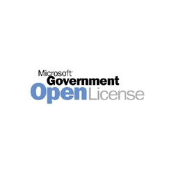 Microsoft Windows Server, OLP GOV, SA, 1 user CAL