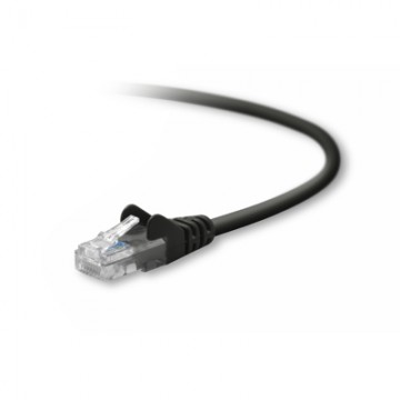 Belkin UTP CAT5e 3 m