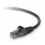 Belkin UTP CAT6 3m