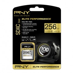 PNY 256GB SDXC Class 10 256Go UHS-I mémoire flash