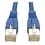 Tripp Lite RJ45 M/M Blue 10ft