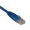 Tripp Lite Cat5e, 2ft. 0.61m Cat5e U/UTP (UTP) Bleu