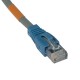 tripp-lite-n201-100-gy-p-cable-de-reseau-1.jpg