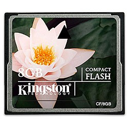 Kingston Technology 8GB CF Card 8Go CompactFlash flash mémoi