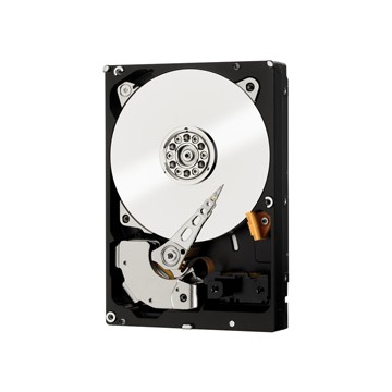 Western Digital RE 250GB 3.5" SATA III