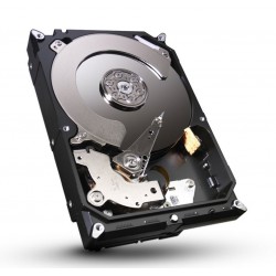 Seagate Desktop HDD ST250DM000 disque dur