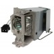 optoma-sp-8vh01gc01-lampe-de-projection-1.jpg