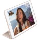 apple-ipad-air-2-smart-case-9.jpg