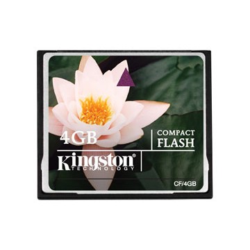 Kingston Technology 4GB CF Card 4Go CompactFlash flash mémoi