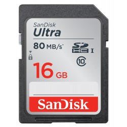 Sandisk SDSDUNC-016G-GN6IN 16Go SDHC UHS-I Class 10 mémoire 