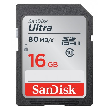 Sandisk SDSDUNC-016G-GN6IN 16Go SDHC UHS-I Class 10 mémoire 